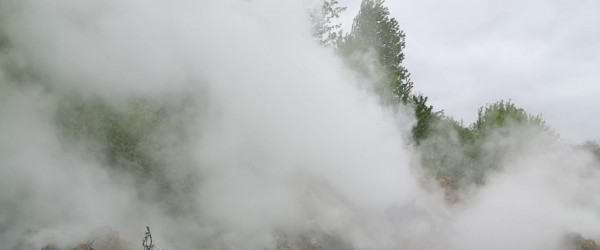 img-20250424-wa0005-600x250-crop-49-31.jpg